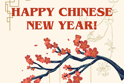 2025 Chinese New Year